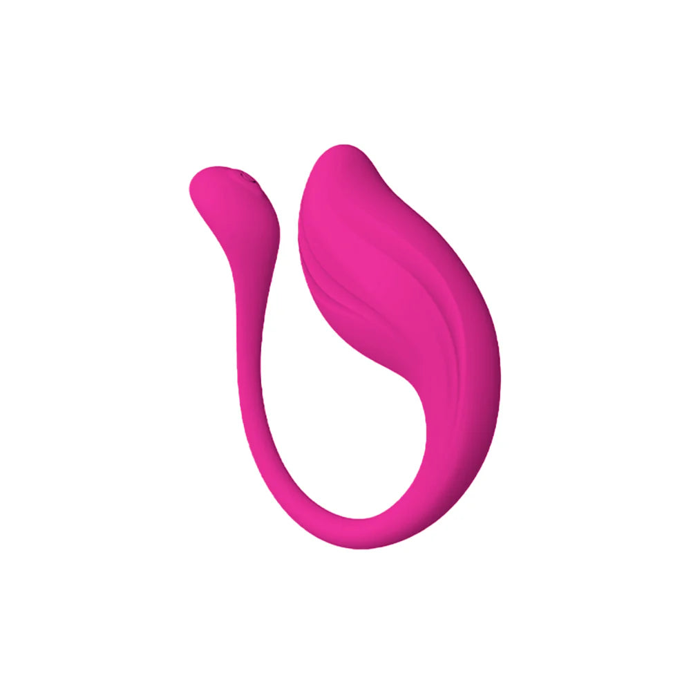 Huevo vibrador APP - Mango